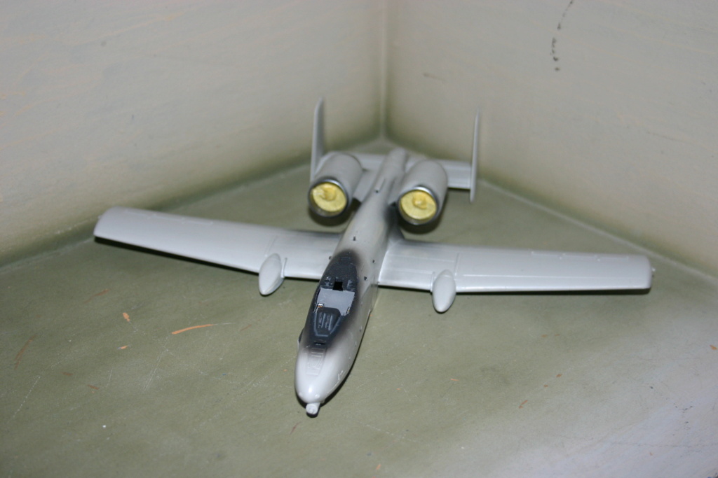 [hobby boss] A-10 Thunderbolt II Img_9620