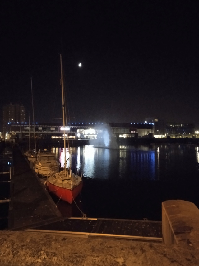 ⚓⛵Fil de boomeuse. Je crée ma vie chaque multi seconde avec une précision d'hors logée. (Mais née et logée à Dunkerque Nord France depuis plus d'un demi-siècle) ⚓⛵ - Page 7 Img_5496