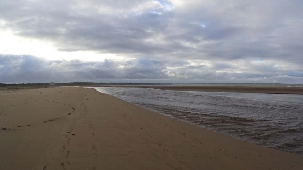 Vers l'estuaire de la Loire (Pornichet/LaBaule, St Brévin...) au fil du temps... - Page 7 Dsc06210