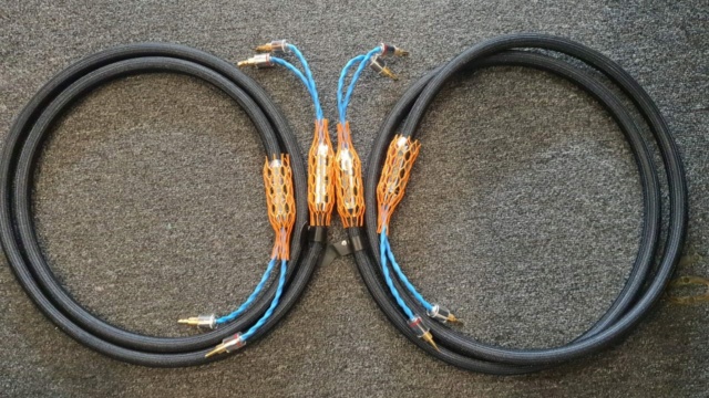 Siltech Classic 330L Speaker Cables (2.5m) 1pair (Sold) 127