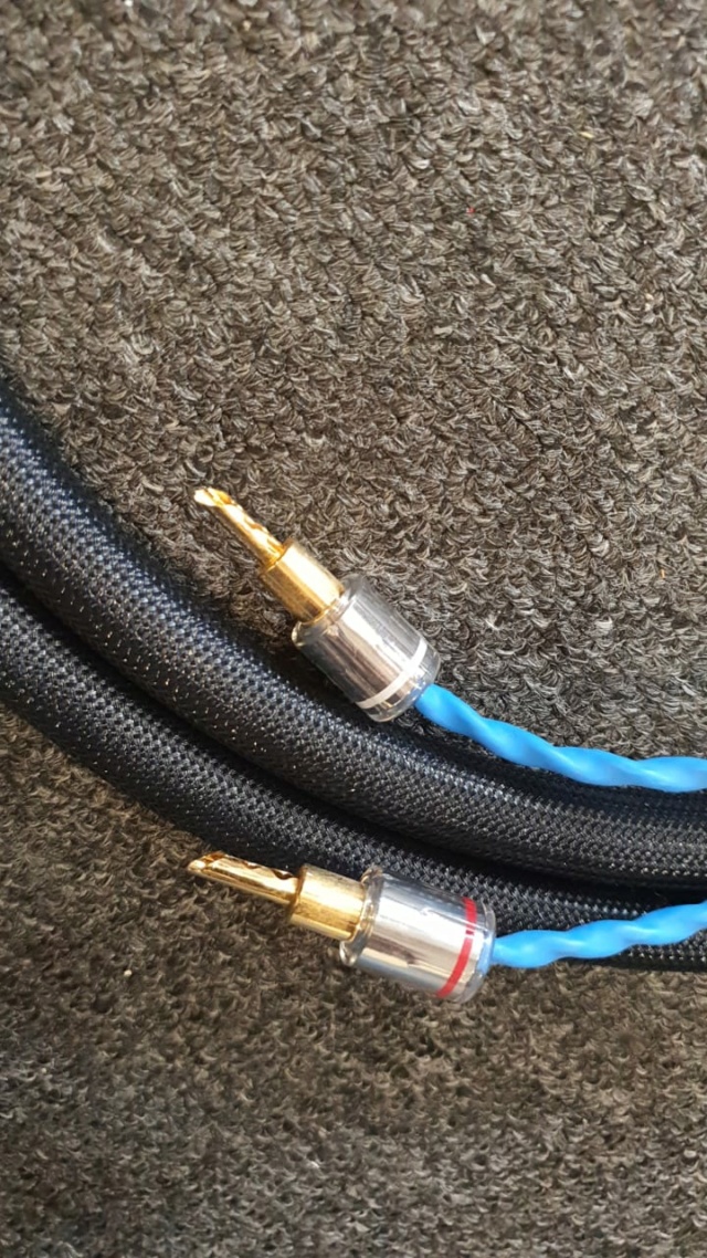 Siltech Classic 330L Speaker Cables (2.5m) 1pair (Sold) 231