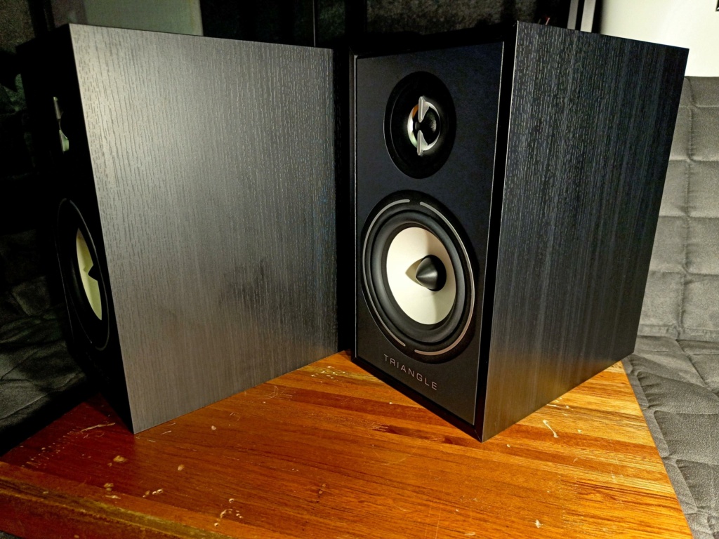 Triangle Borea BR02 Bookshelf Speaker -Black (Used) Img20211