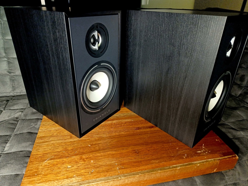 Triangle Borea BR02 Bookshelf Speaker -Black (Used) Img20212
