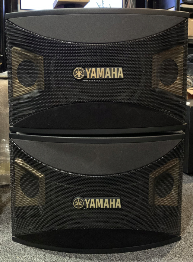 Yamaha KMS-1000 Karaoke Speaker SOLD Img_5018