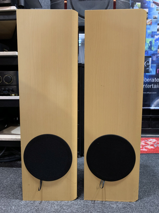 Robertson FX-20S Floorstanding Speaker (Sold) Img_7110