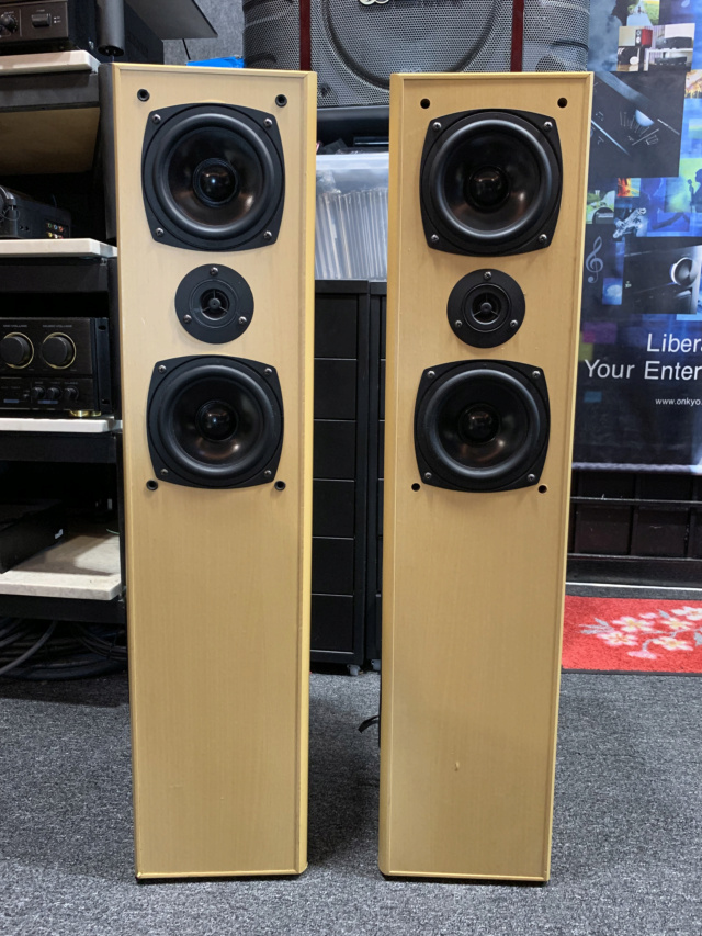 Robertson FX-20S Floorstanding Speaker (Sold) Img_7111
