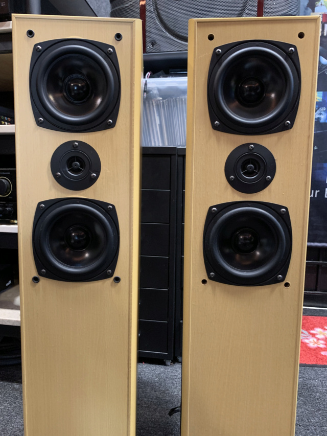Robertson FX-20S Floorstanding Speaker (Sold) Img_7112
