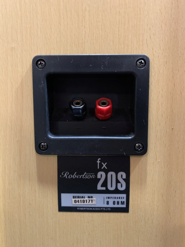 Robertson FX-20S Floorstanding Speaker (Used) Img_7113