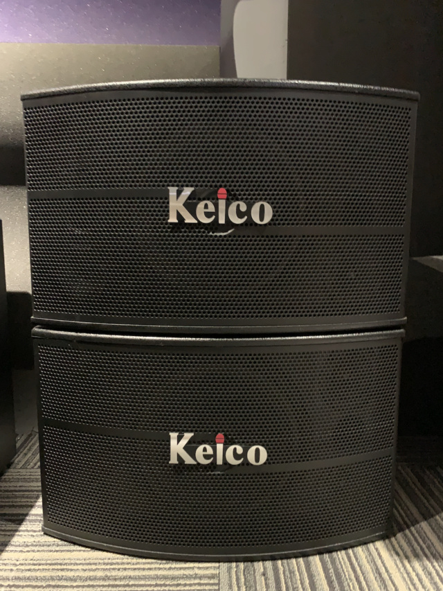 Keico KS-999 Karaoke Speaker (Used) Pair Img_7671