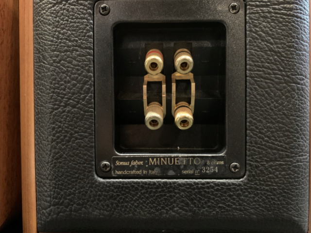 Sonus Faber Minuetto Bookshelf Speaker Made in Italy (Used) Img_9528