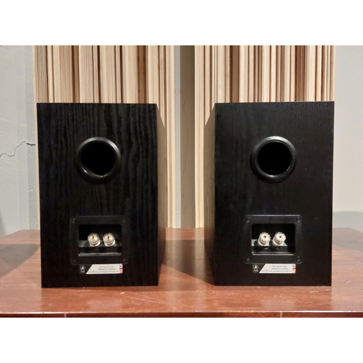 Fyne Audio F301 Bookshelf Speaker (Used) Slide816