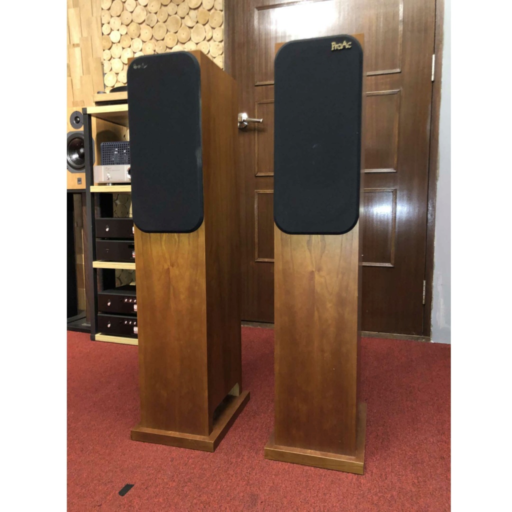 ProAc Response D18 Floorstanding Speakers - Pair (Sold) Used10