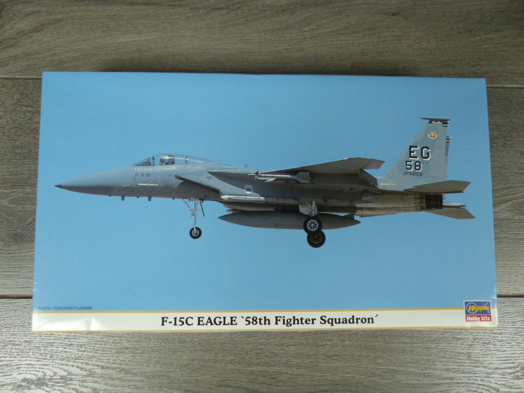 Les couples part 3 : F-15C USAF vs MiG-25 IQAF (guerre du Golfe - janv 1991) P1030310