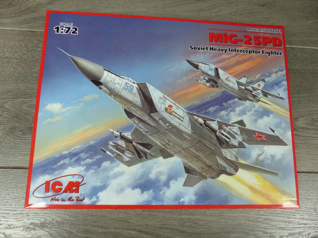 Les couples part 3 : F-15C USAF vs MiG-25 IQAF (guerre du Golfe - janv 1991) P1030312