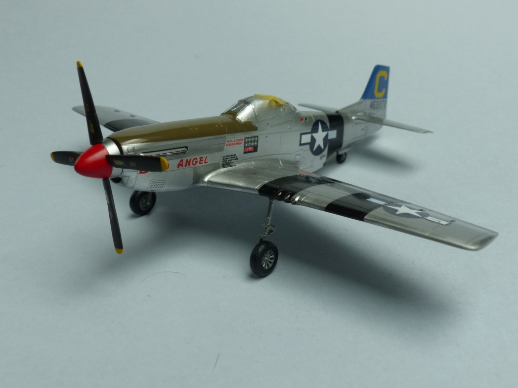 [Haseg+Fine Molds] Duel dans le Pacifique: P-51D et Ki-61-I P1030544