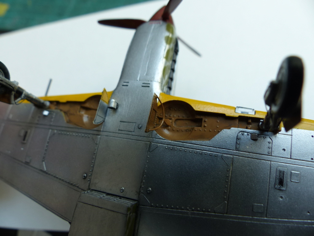 [Haseg+Fine Molds] Duel dans le Pacifique: P-51D et Ki-61-I P1030559
