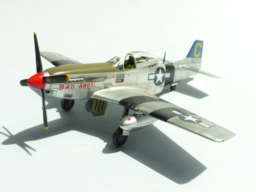 [Haseg+Fine Molds] Duel dans le Pacifique: P-51D et Ki-61-I P1030572