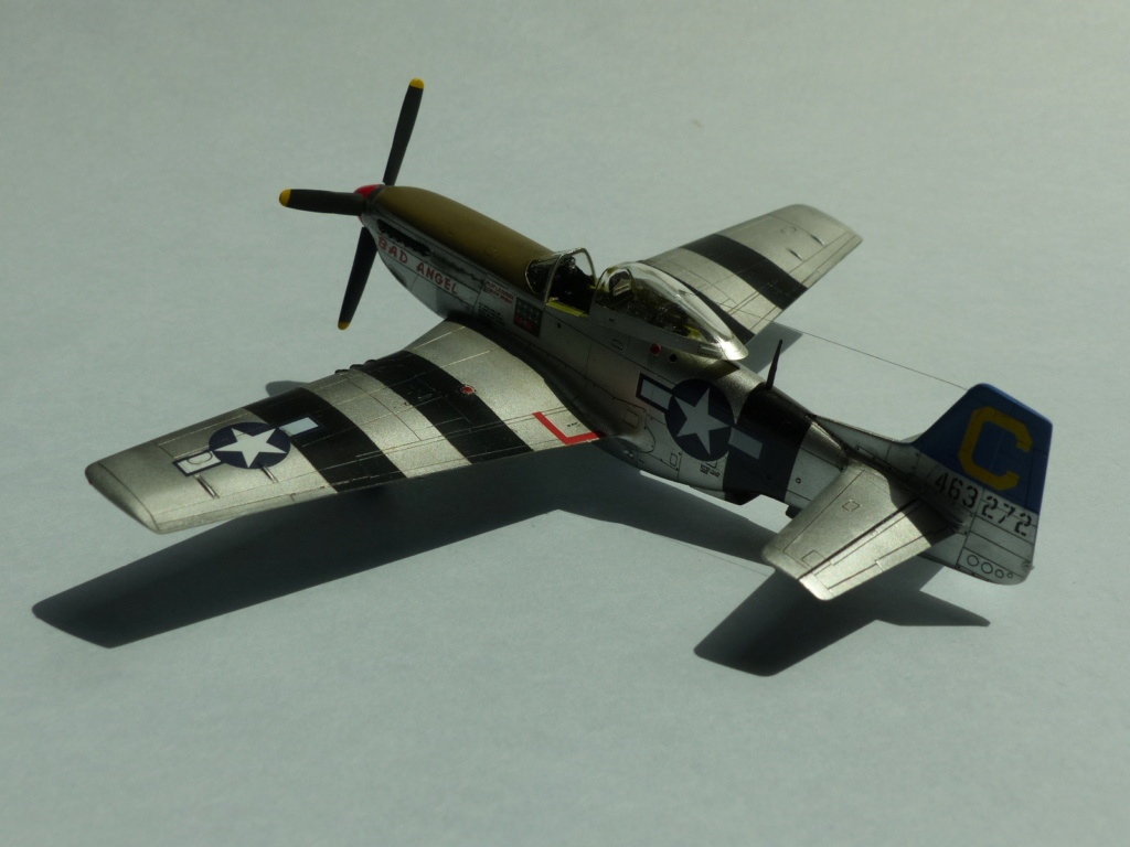 [Haseg+Fine Molds] Duel dans le Pacifique: P-51D et Ki-61-I P1030574