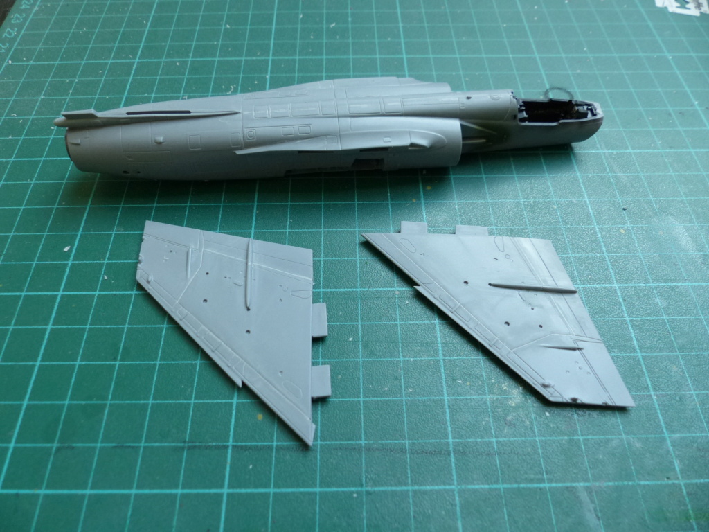  [SH + Eduard] Mirage F1 vs MiG-21 ,TERMINE P1040023