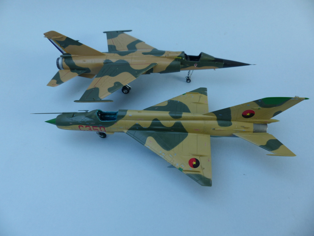 [SH + Eduard] les couples part 5 : BORDER WAR (Mirage F1 vs MiG-21) P1040109