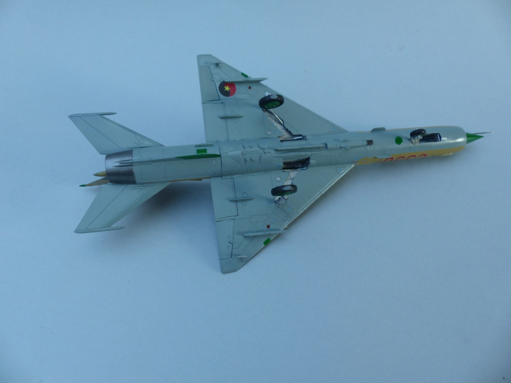  [SH + Eduard] Mirage F1 vs MiG-21 ,TERMINE P1040110