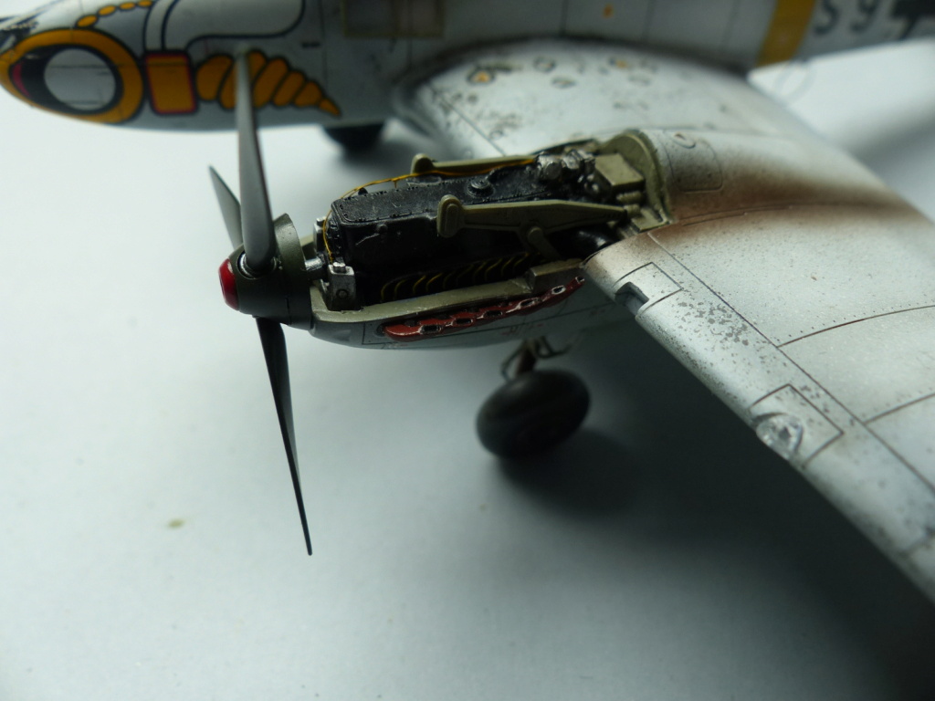 [Eduard] Messerschmitt Bf 110E P1050146