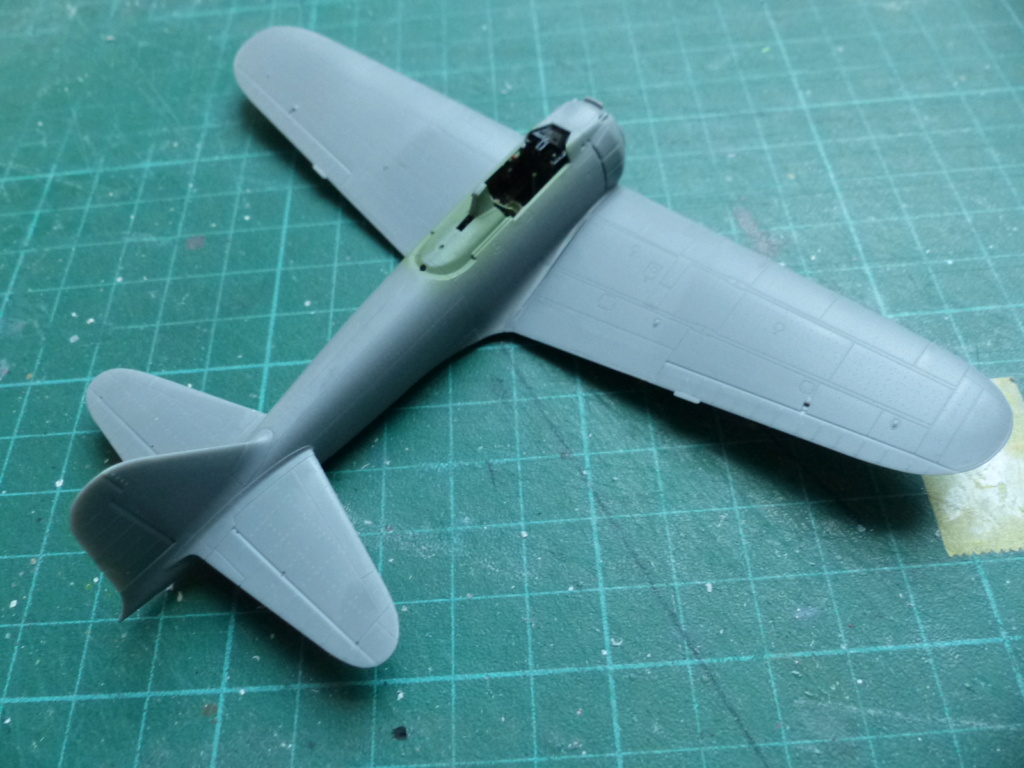 [Tamiya et Hasegawa] Duel dans le Pacifique 2 : A6M5 et P-38L - TERMINÉ  P1050215