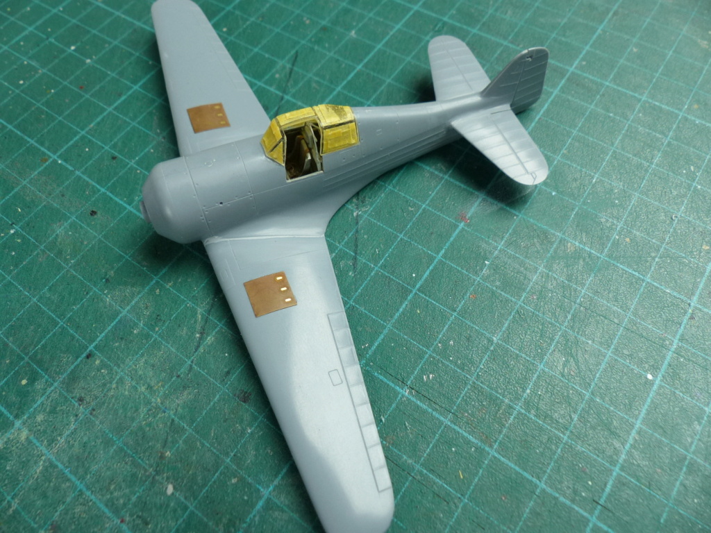 [MPM] 1/72 - Pays impliqués part 14 : Danemark avec un Fokker DXXI  P1050605