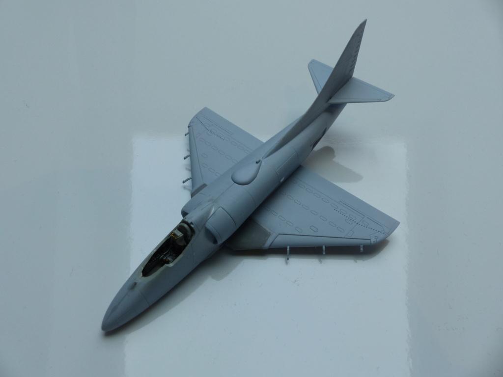  [Fujimi Airfix]  Sea Harrier FRS1 et A-4Q Skyhawk... FINI P1060716