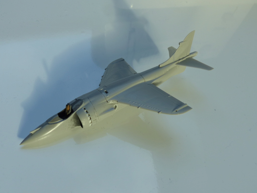 [Airfix et Fujimi] 1/72 - Couples part 9 : Malouines 1982 avec un Sea Harrier FRS1 et un A-4Q Skyhawk   P1060723