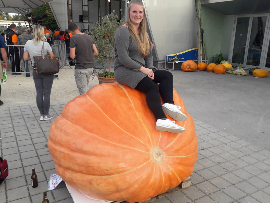 kürbisgewächse - Kürbisgewächse - Cucurbitaceae: Melonen, Gurken, Kürbisse und Zucchini - alle Verteter der nichtsukkulenten Arten - Seite 12 20181010