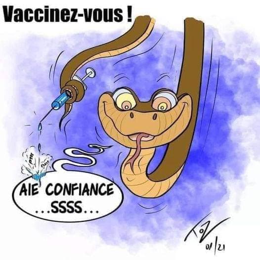 LesPierresCrieront - Vaccin Covid , et si on en parlait ici .... - Page 17 Photo_27