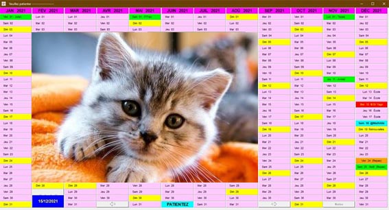 Calendrier perpétuel new look Chat10