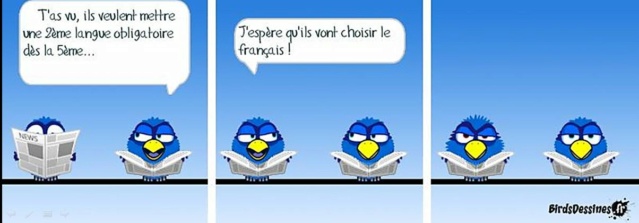 images humour  - Page 41 Birds_11