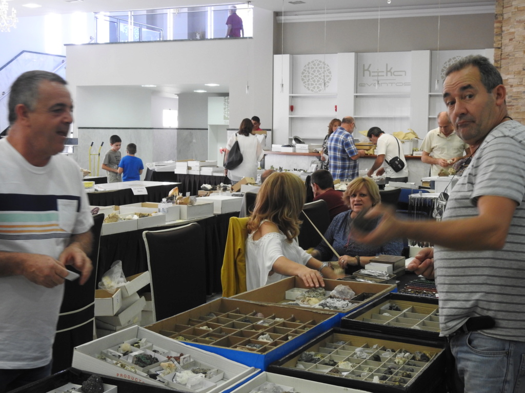 8ª MESA DE MINERALES y 1ª JORNADA DEL MICRO DE EXTREMADURA - Página 2 Dscn0011