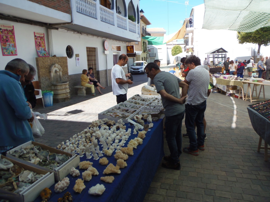  MESA DE MINERALES DE BEAS DE GRANADA 2019 P6160017