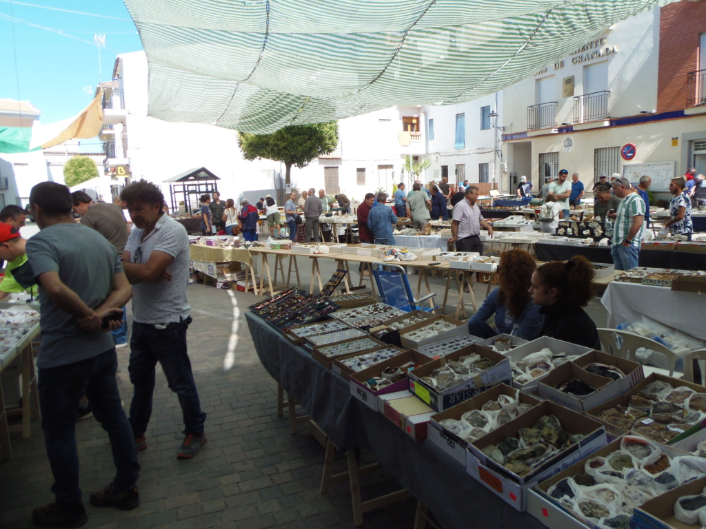  MESA DE MINERALES DE BEAS DE GRANADA 2019 P6160018