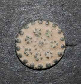 Botón corona floral, tipo F64.1 50a11