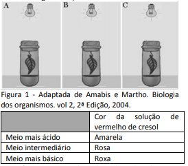 (OBB) Fotossíntese Sem_tz12