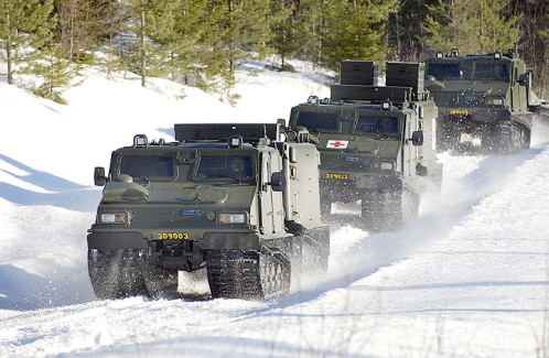 Das Geländetransportfahrzeug Hägglund - Bandvagn 206 (Bv 206) Ceber_10