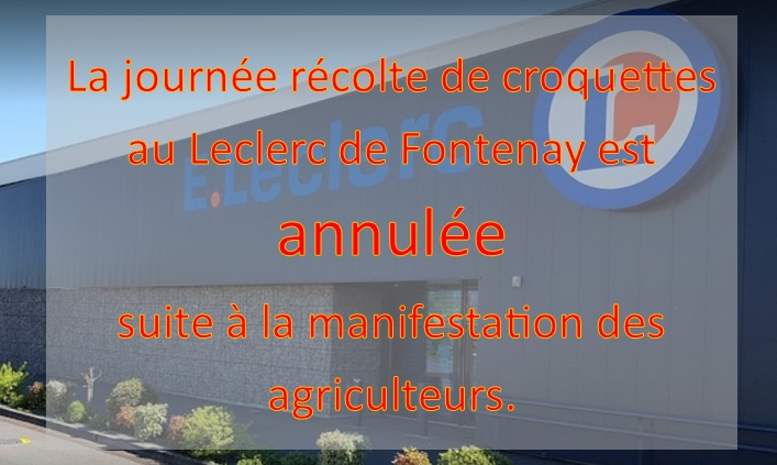 Invitation d'une journée de récoltes de croquettes à LECLERC Fontenay le Comte Lecler10