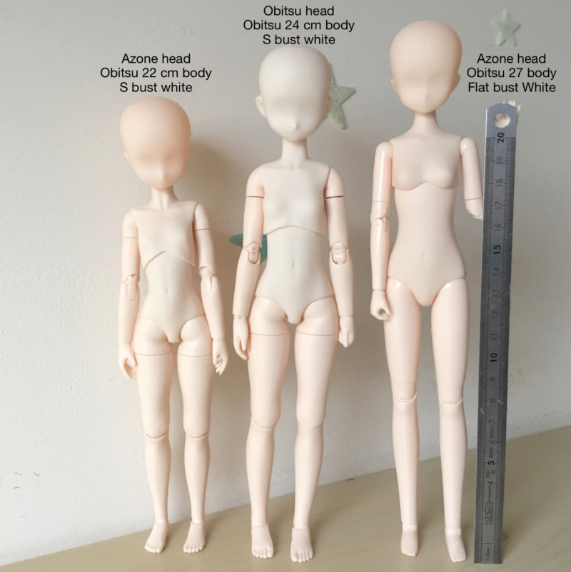 [Comparaison] Obitsu 1/6 body (22 cm /24 cm / 25 cm)  228b4b10