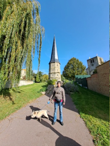 2023 - CR week-end dans le Pas-de-Calais Octobre 2023 20231015