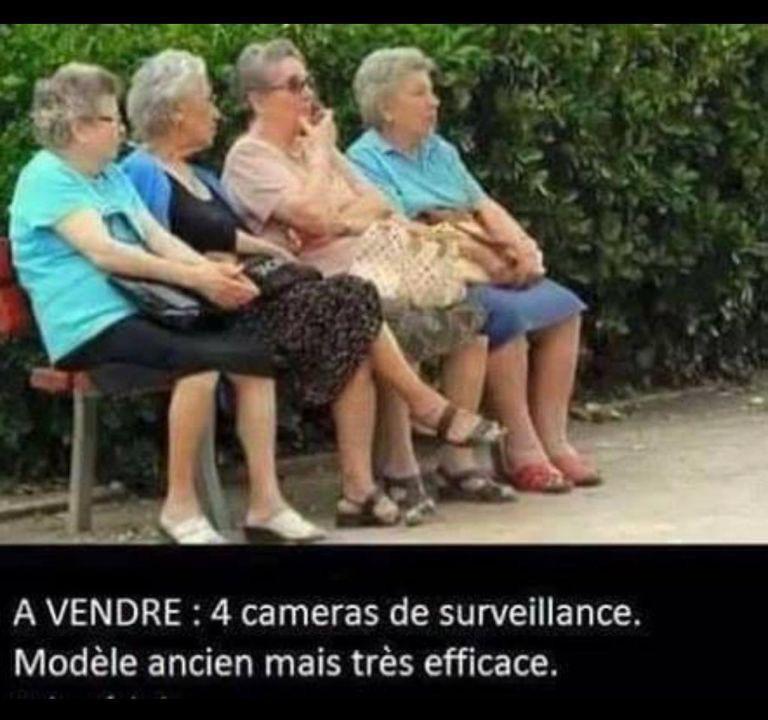 Humour et bonne humeur - Page 28 6850c610