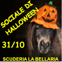 ASD Scuderia La Bellaria (Novi Ligure, AL) - Pagina 8 Hallow10