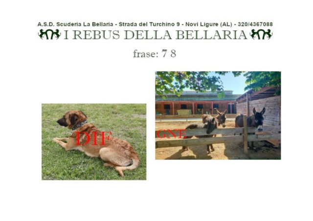 ASD Scuderia La Bellaria (Novi Ligure, AL) - Pagina 6 Rebus_10