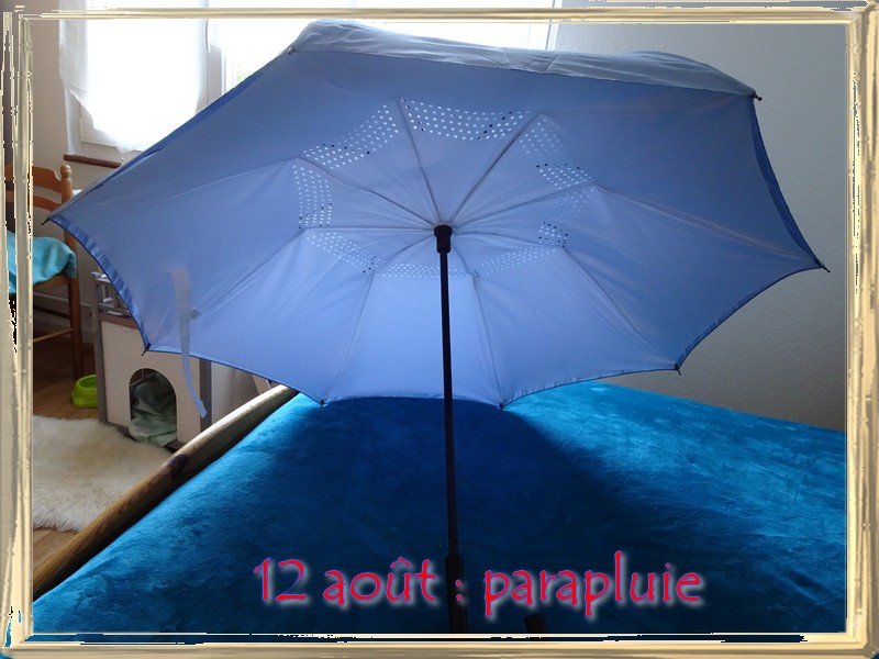 Sujet photo du 12 08  : un parapluie Dsc05411
