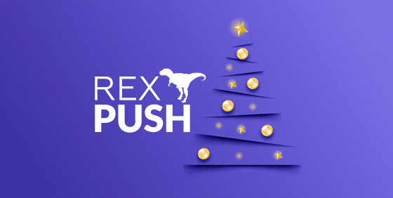 Rexpush.com - уникальная рекламная платформа по монетизации Push- подписок.  N_110