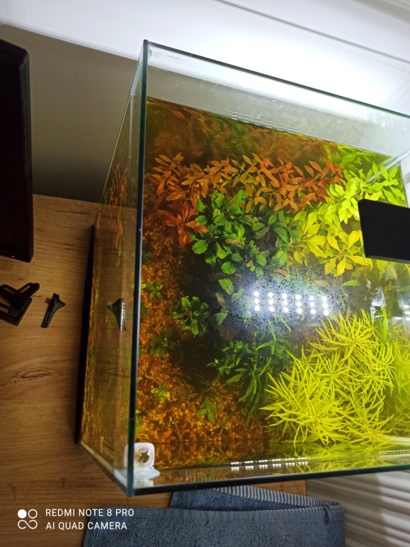 nano - Nano 30 Litres 17132012