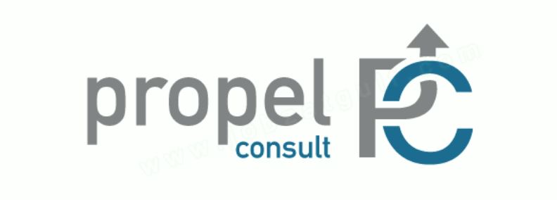 وظائف في الموارد البشرية شاغرة للنساء والرجال تعلنها شركة Propel Consult Captu356